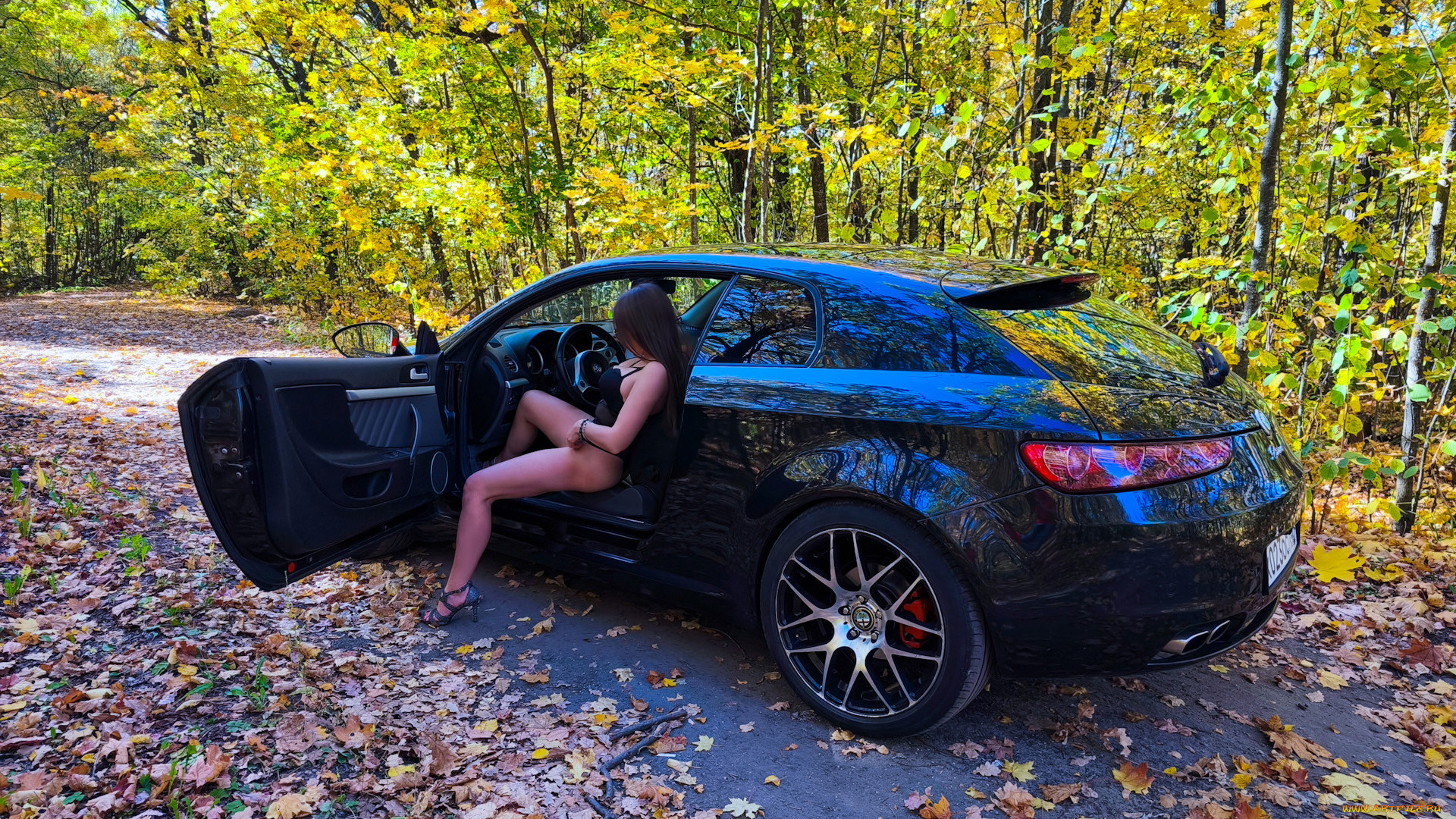 ����������, -���� � ���������, alfa, romeo